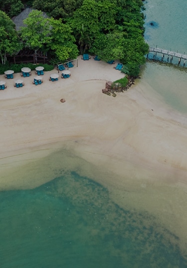 Aerial view of tropical beach with blue lounge chairs, umbrellas, and wooden pier beside clear water.