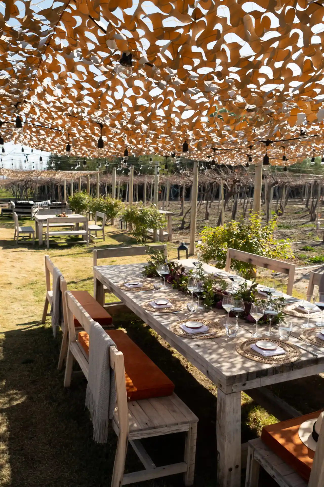 Rustic outdoor dining table set under a canopy, surrounded by vineyards and festive string lights.